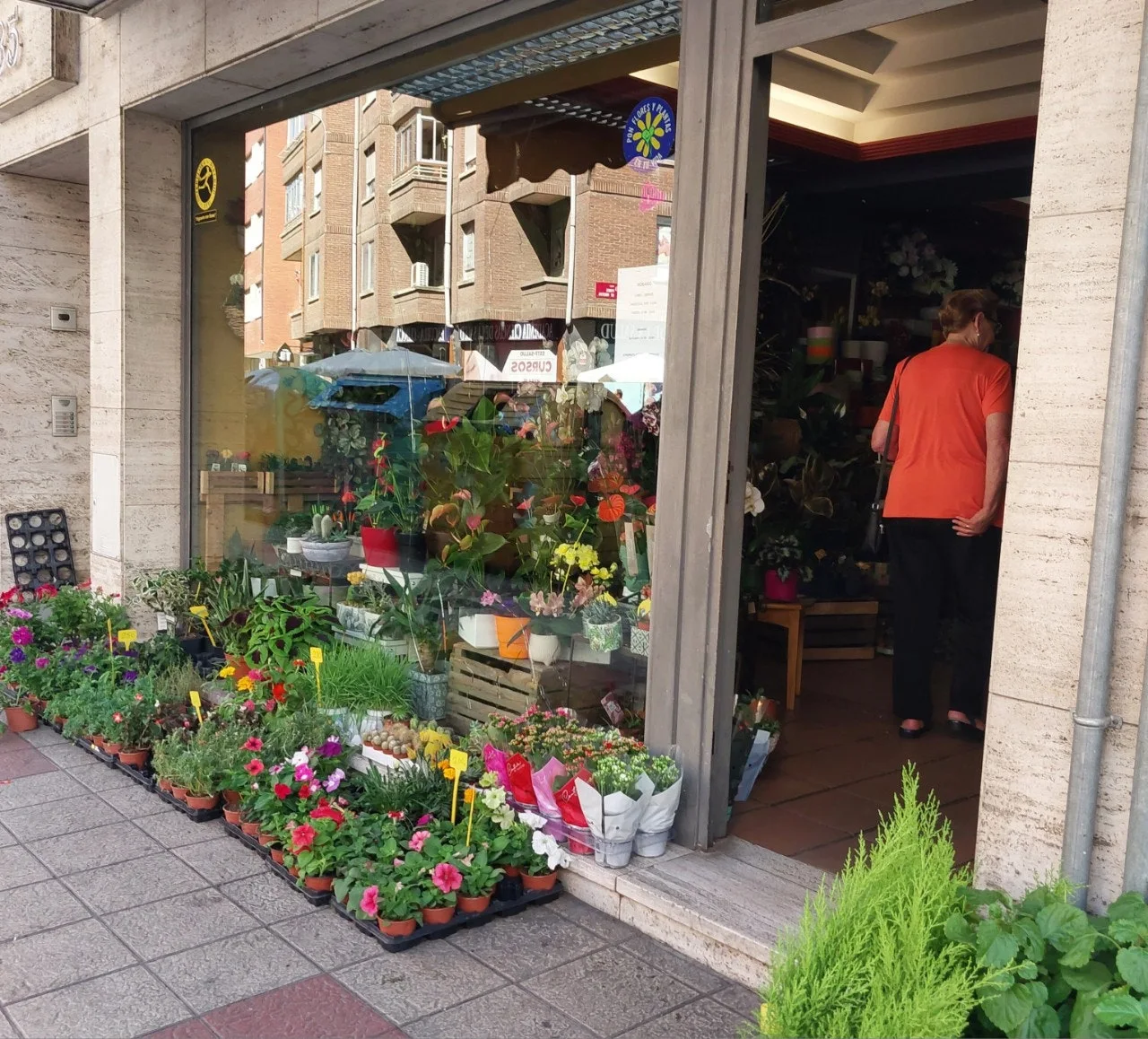 d_32iUd018svc1jdredd36i8mr_bc1i52.jpg?type=e1920_std