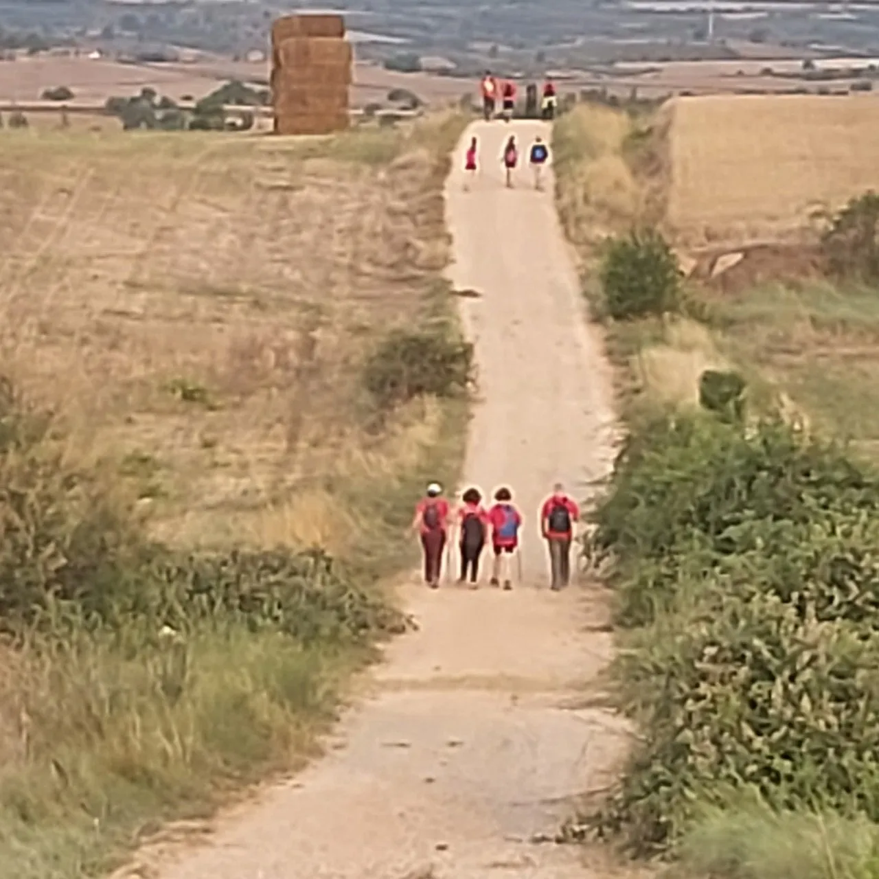 1_j4dUd018svckly5yni5sa6u_bc1i52.jpg?type=e1920_std