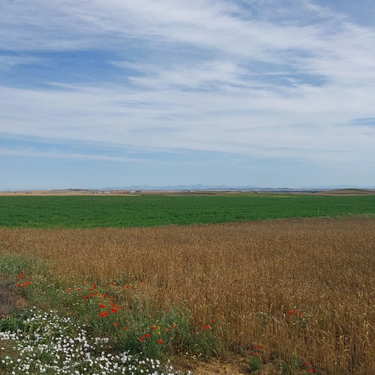 j_35bUd018svc17xndd8t0i5mz_bc1i52.jpg?type=e1920_std