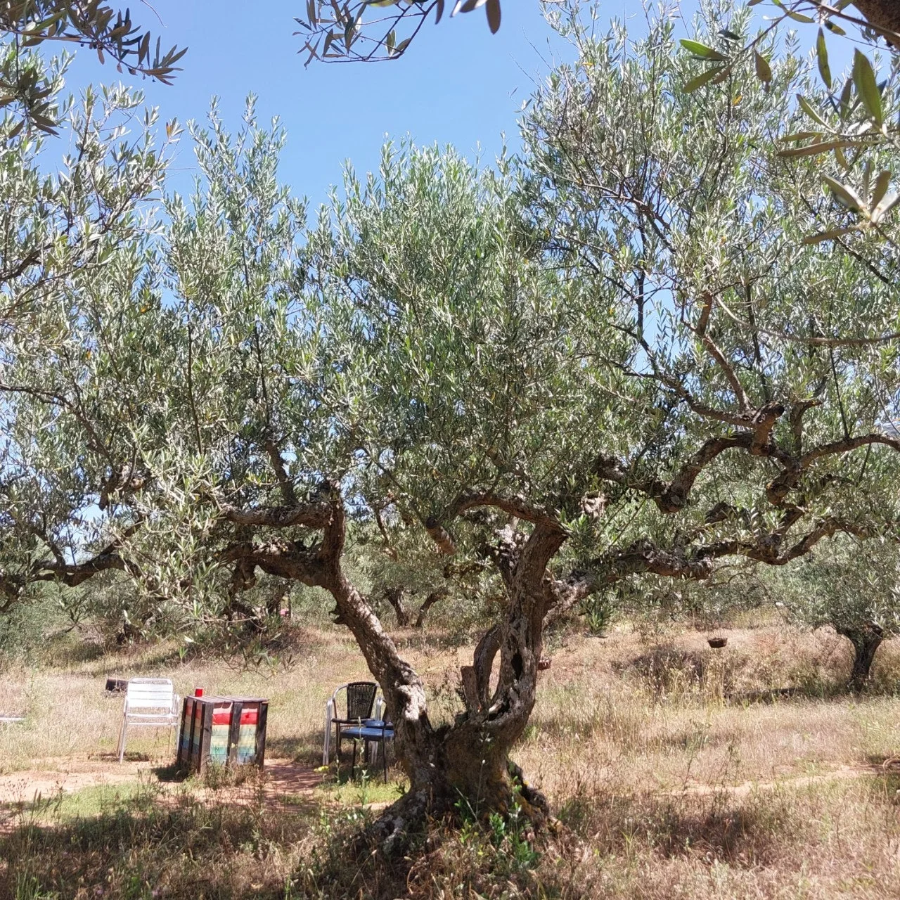 9_c5eUd018svcrcdpbozxfa8v_bc1i52.jpg?type=e1920_std