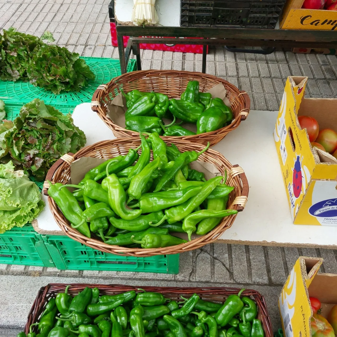 9_aabUd018svcqf19gubybubh_bc1i52.jpg?type=e1920_std