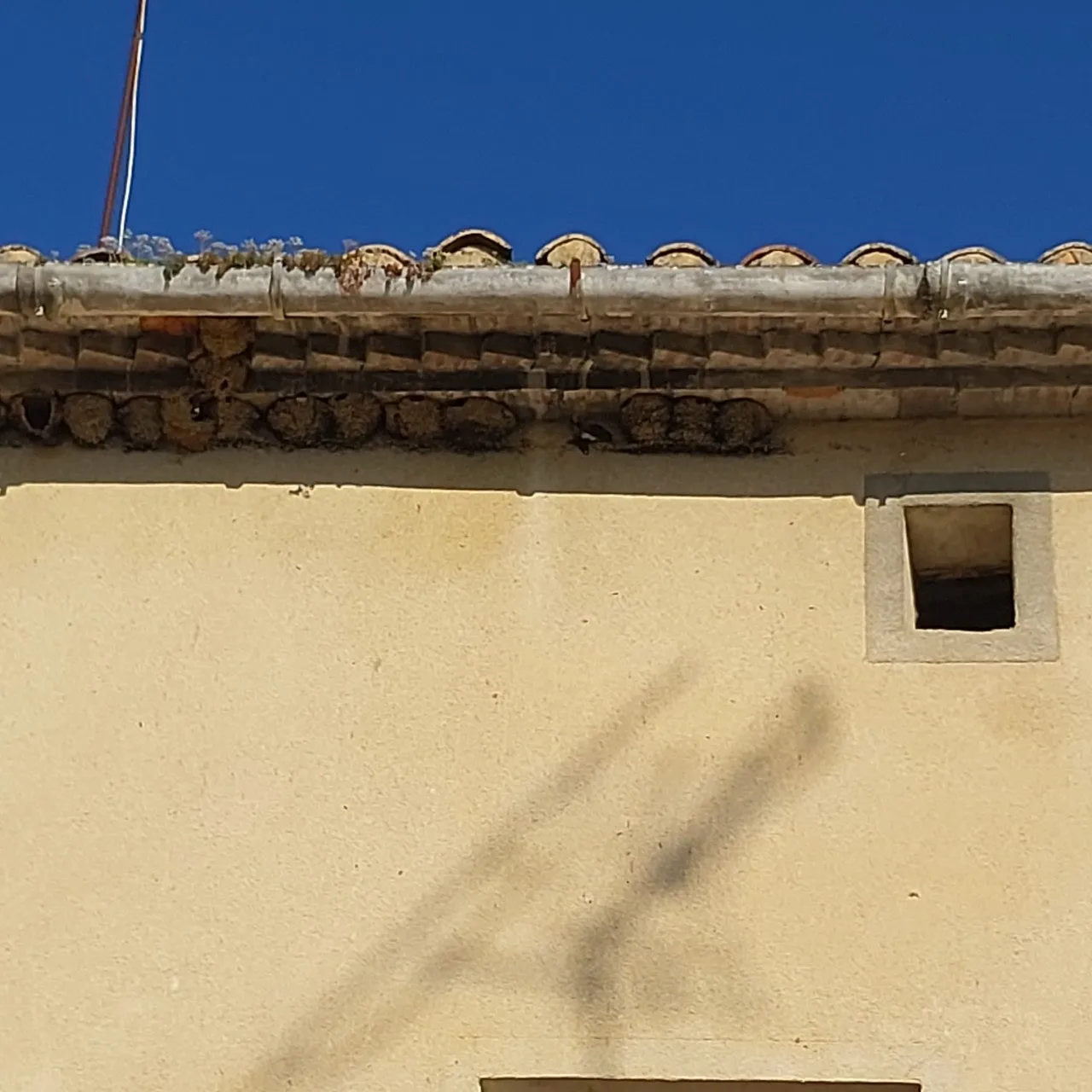 6_3c6Ud018svcfymgkd7mmn6t_bc1i52.jpg?type=e1920_std