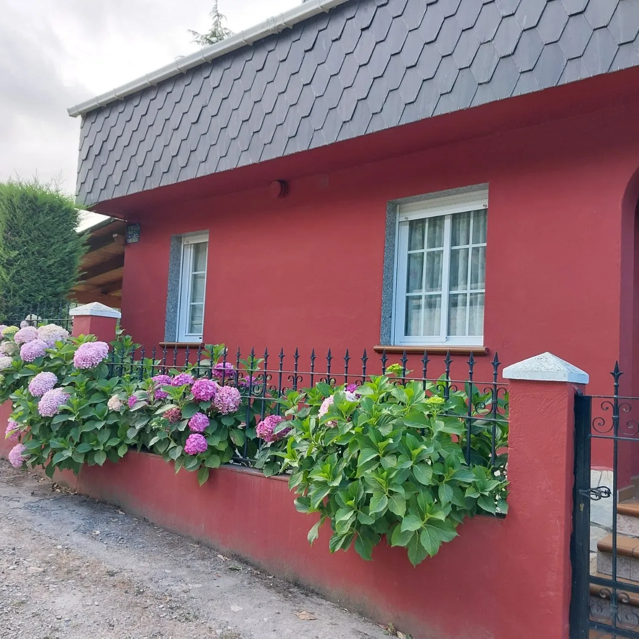 b_0abUd018svcn4r4lmftcce2_bc1i52.jpg?type=e1920_std