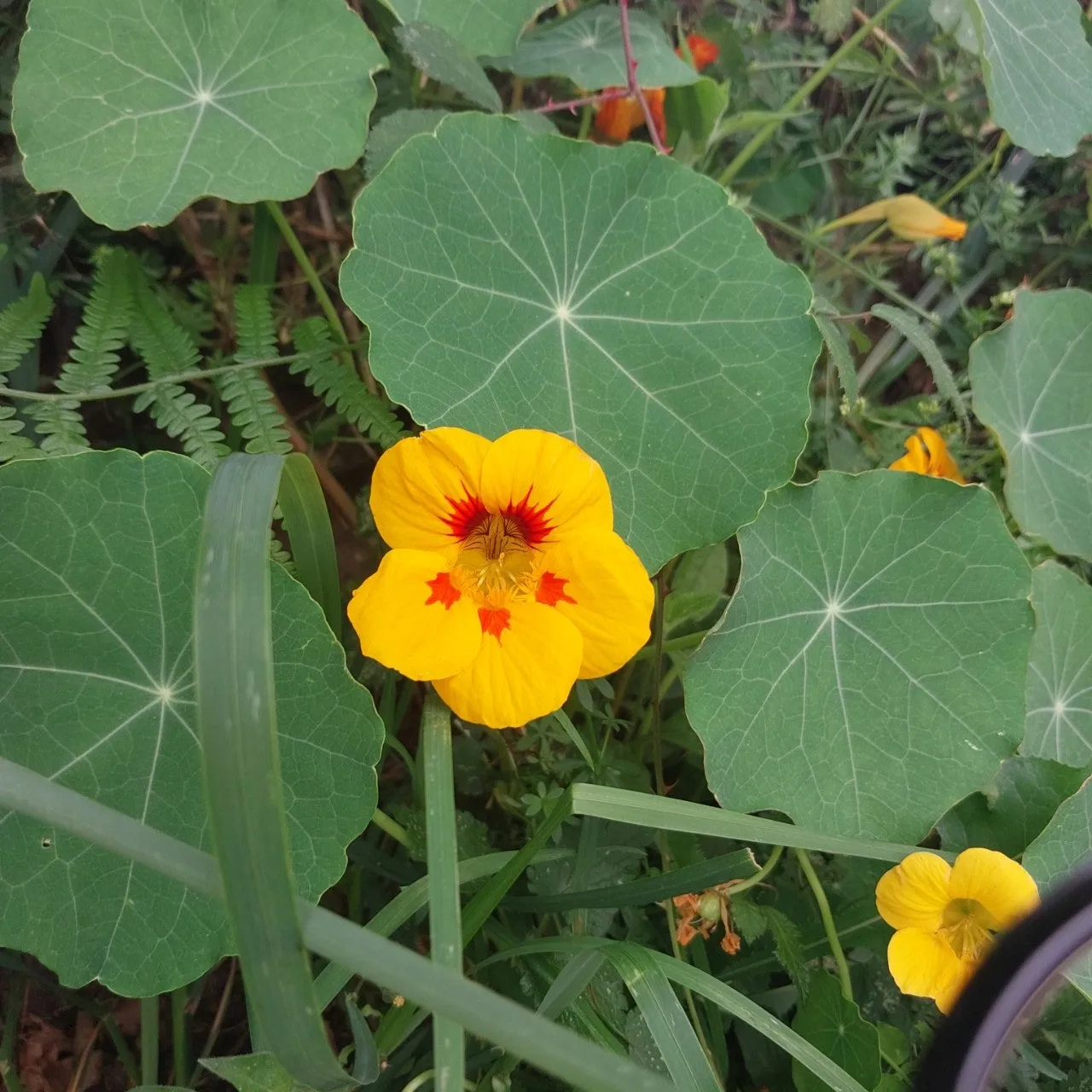 8_bhdUd018svcf9do5prpafrq_bc1i52.jpg?type=e1920_std