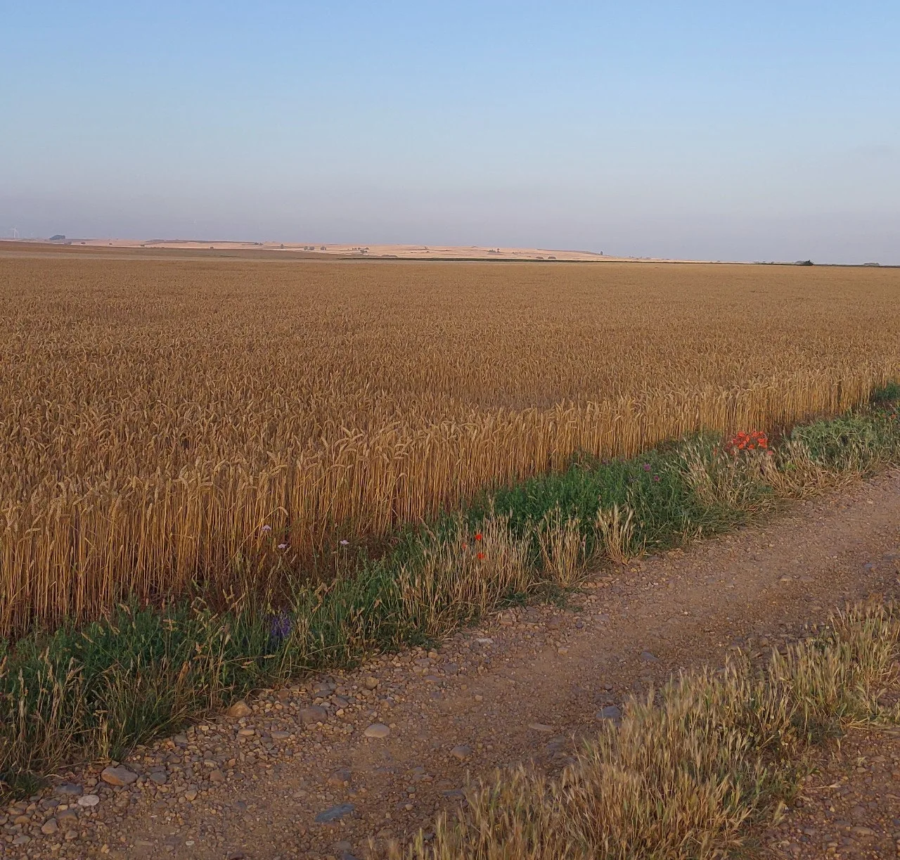 e_c86Ud018svcgs4bz29bo2fk_bc1i52.png?type=e1920_std