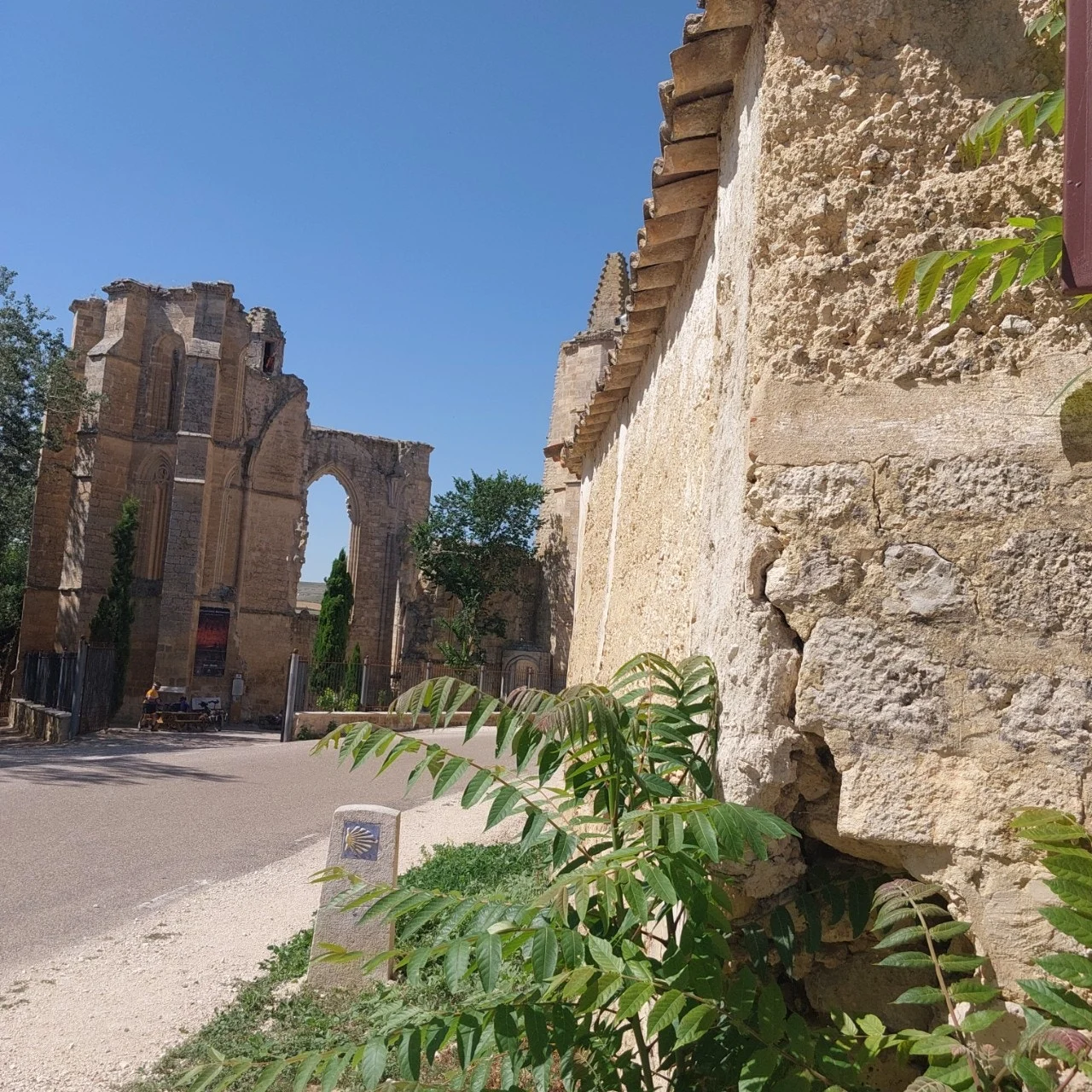 d_e86Ud018svcg7tar6fc3gtf_bc1i52.jpg?type=e1920_std