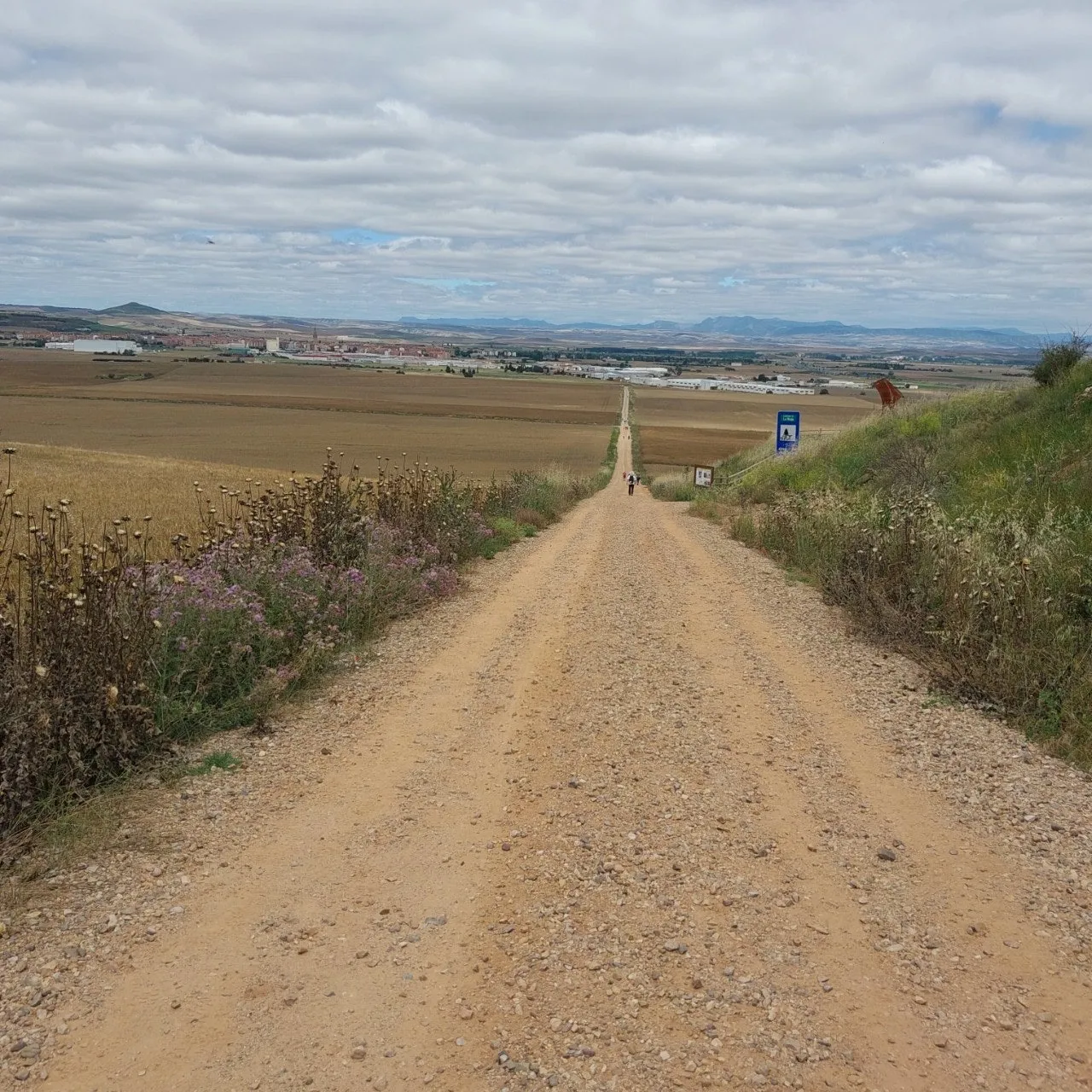 i_03cUd018svc165ynq9x9bu3y_bc1i52.jpg?type=e1920_std