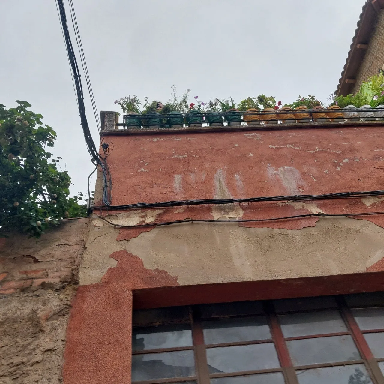 h_13cUd018svca2ijb4kvk9jc_bc1i52.jpg?type=e1920_std