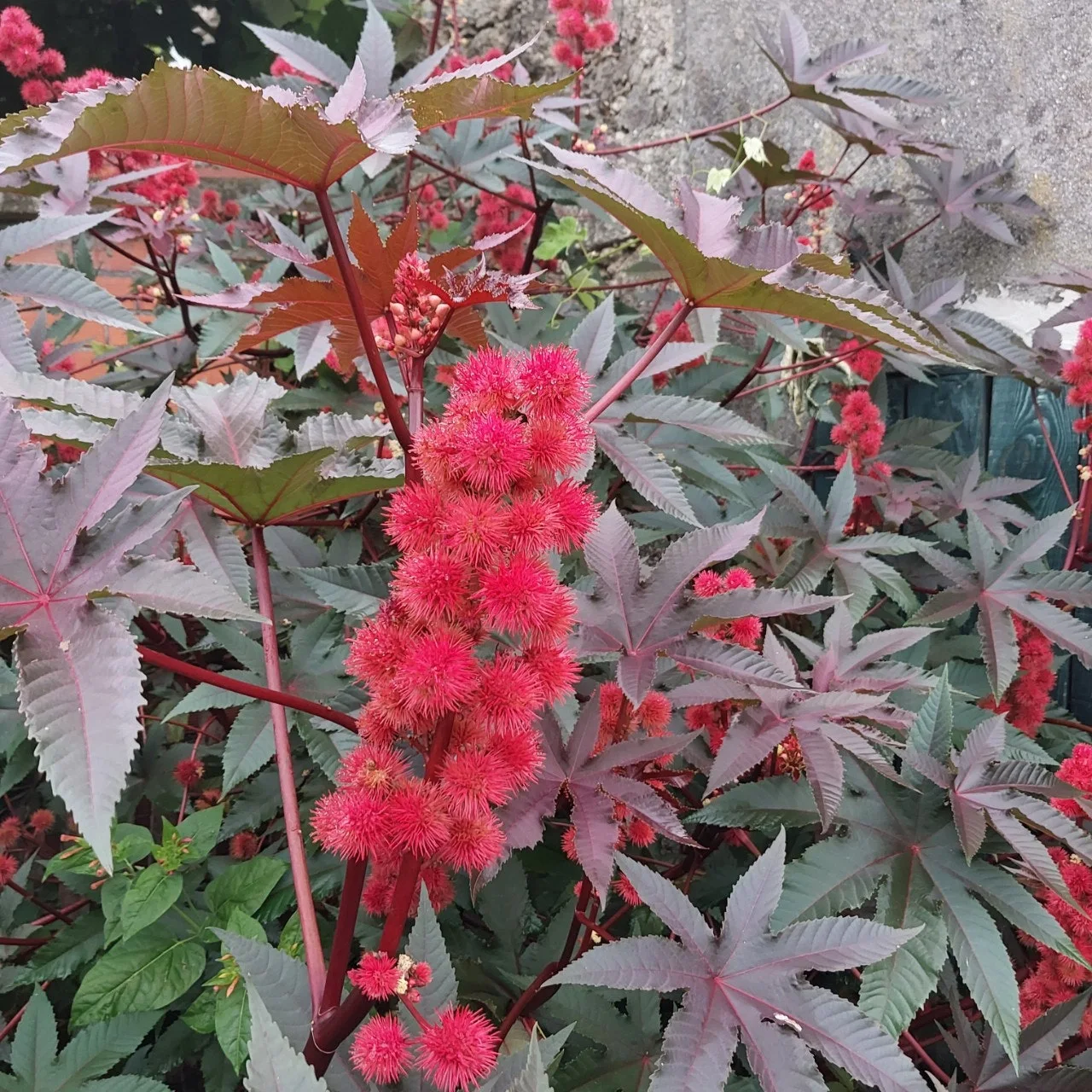 j_7d3Ud018svc6kkk3og0p0ec_bc1i52.jpg?type=e1920_std