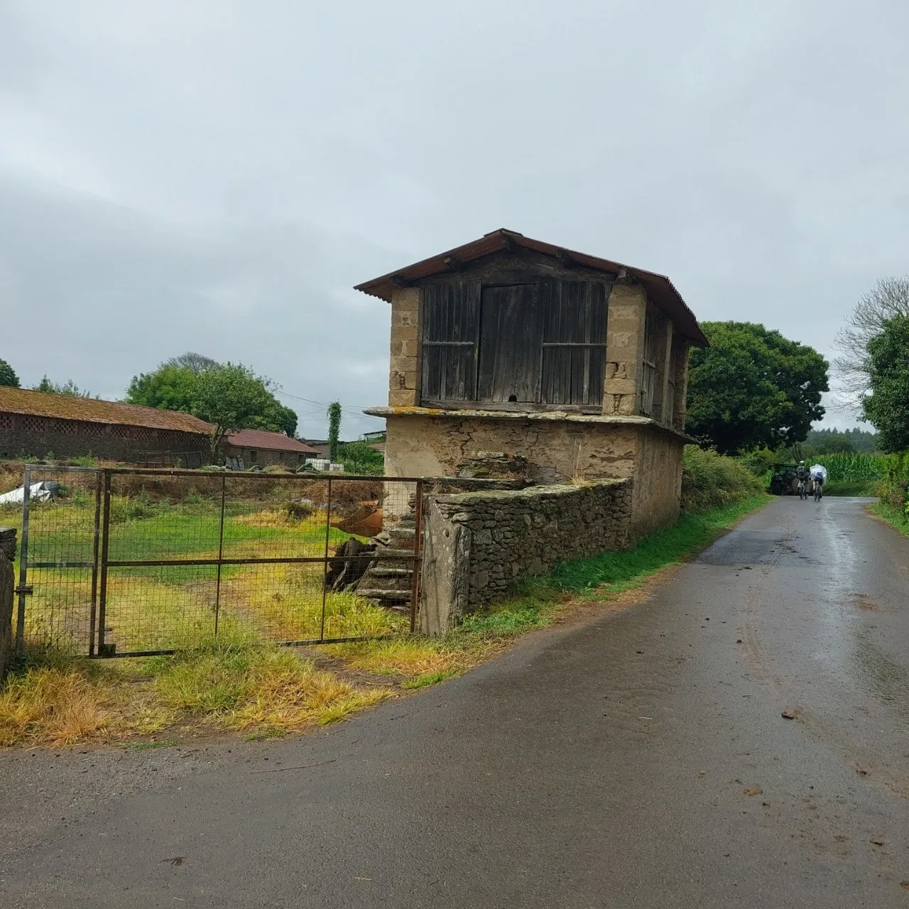 j_5d3Ud018svc1d8hc7cywd24j_bc1i52.jpg?type=e1920_std