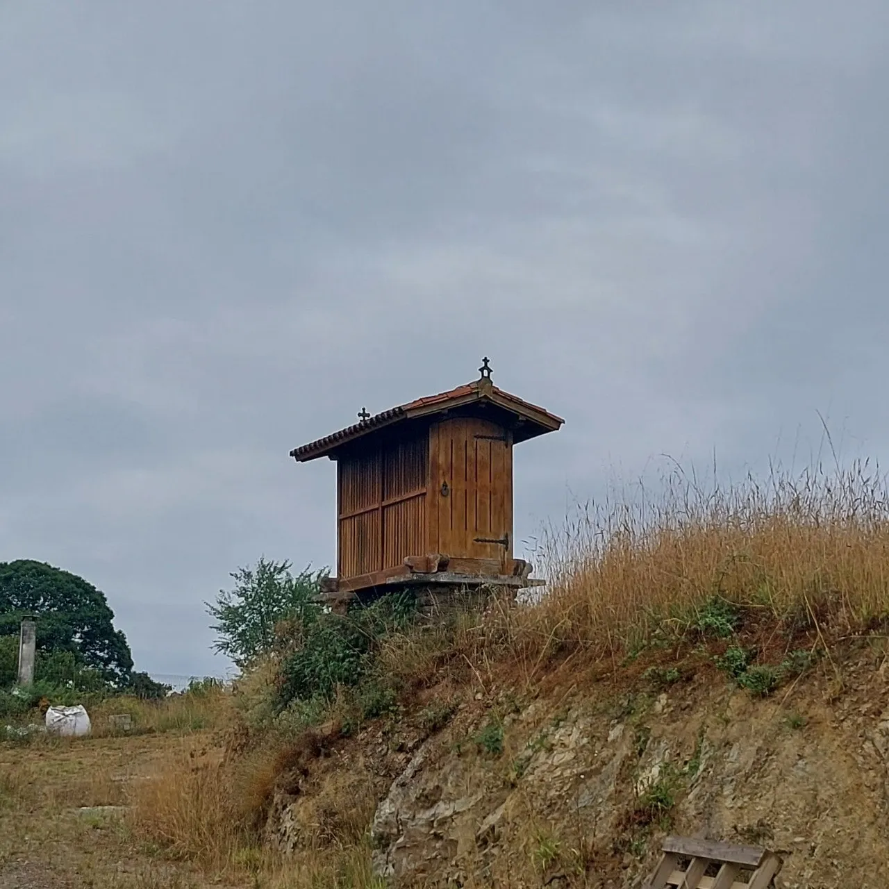 j_id3Ud018svcyr66ugw5l8xt_bc1i52.jpg?type=e1920_std