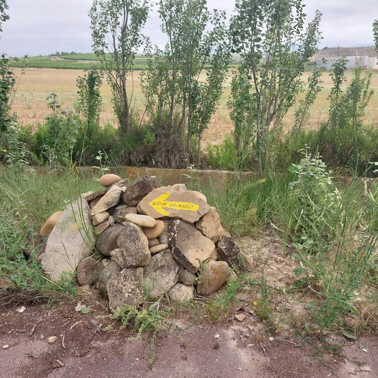 7_376Ud018svc1shzvnj91em3e_bc1i52.jpg?type=e1920_std