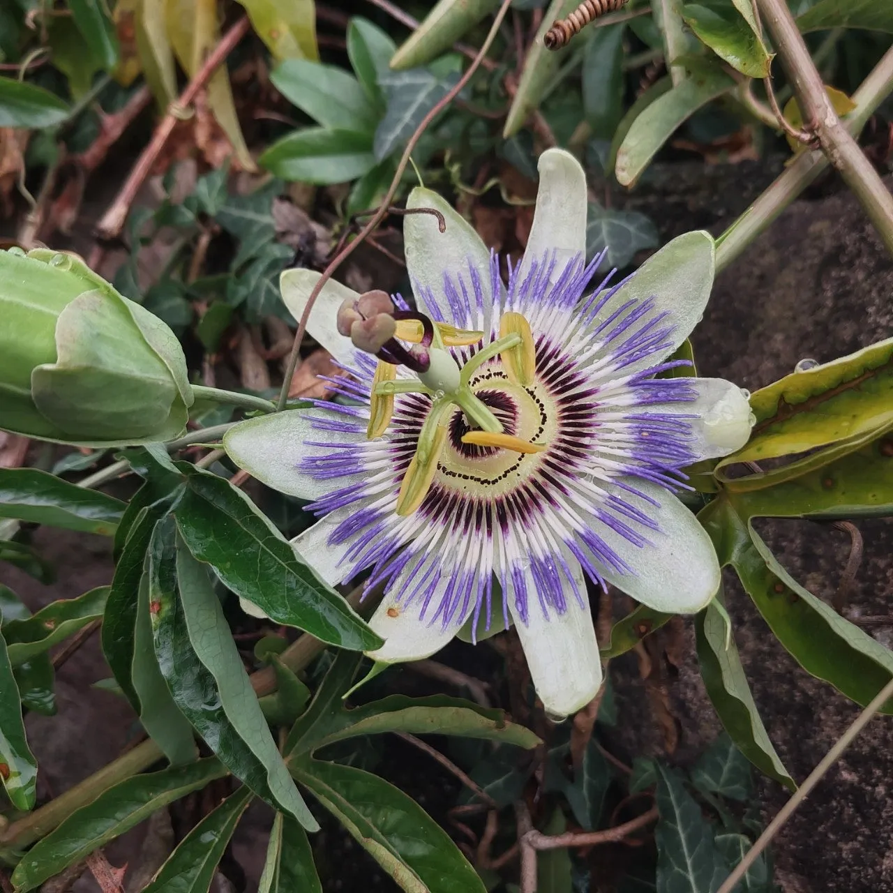 a_72fUd018svc5t7778whf84y_bc1i52.jpg?type=e1920_std