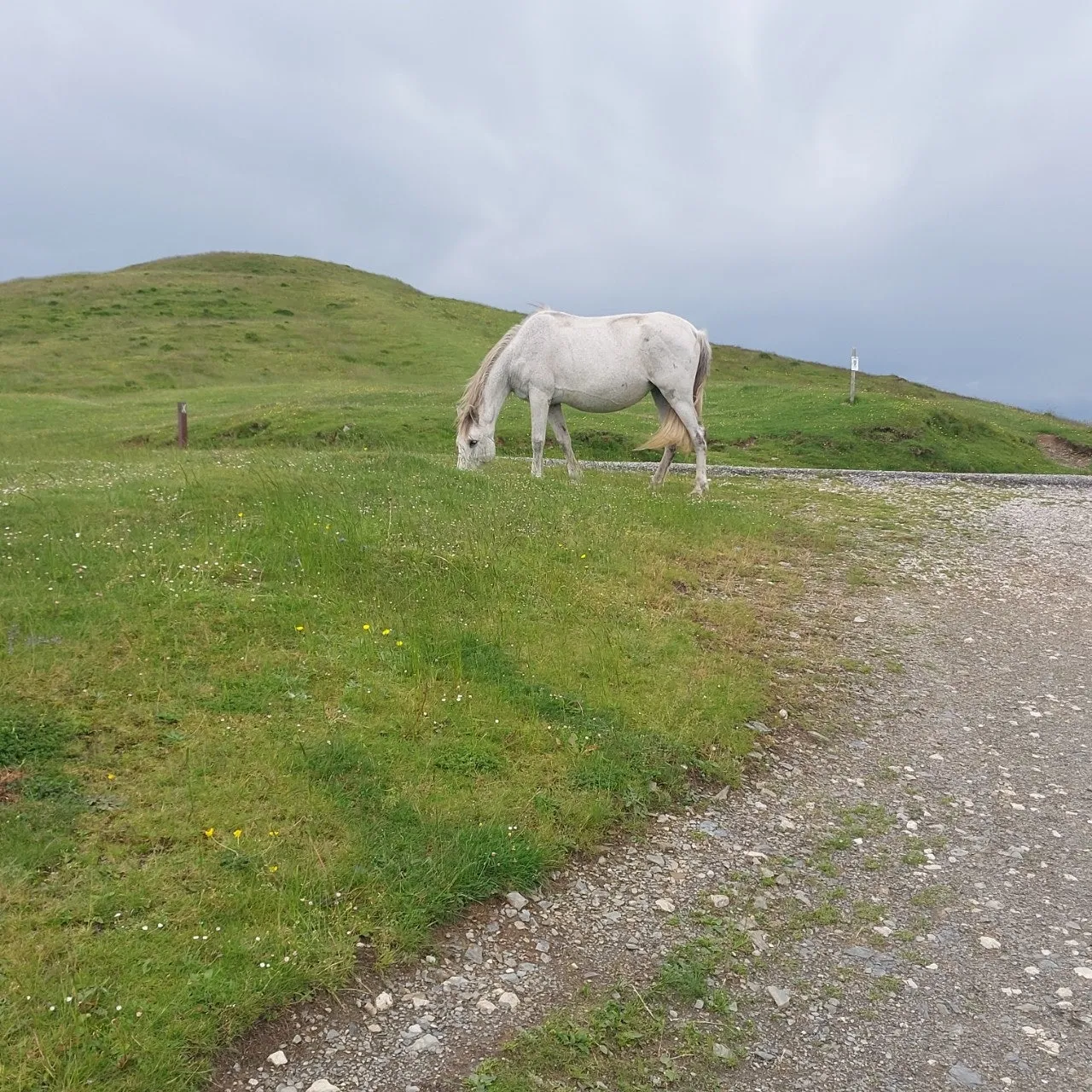 2_0bgUd018svc1k17t77n6j2hz_bc1i52.jpg?type=e1920_std