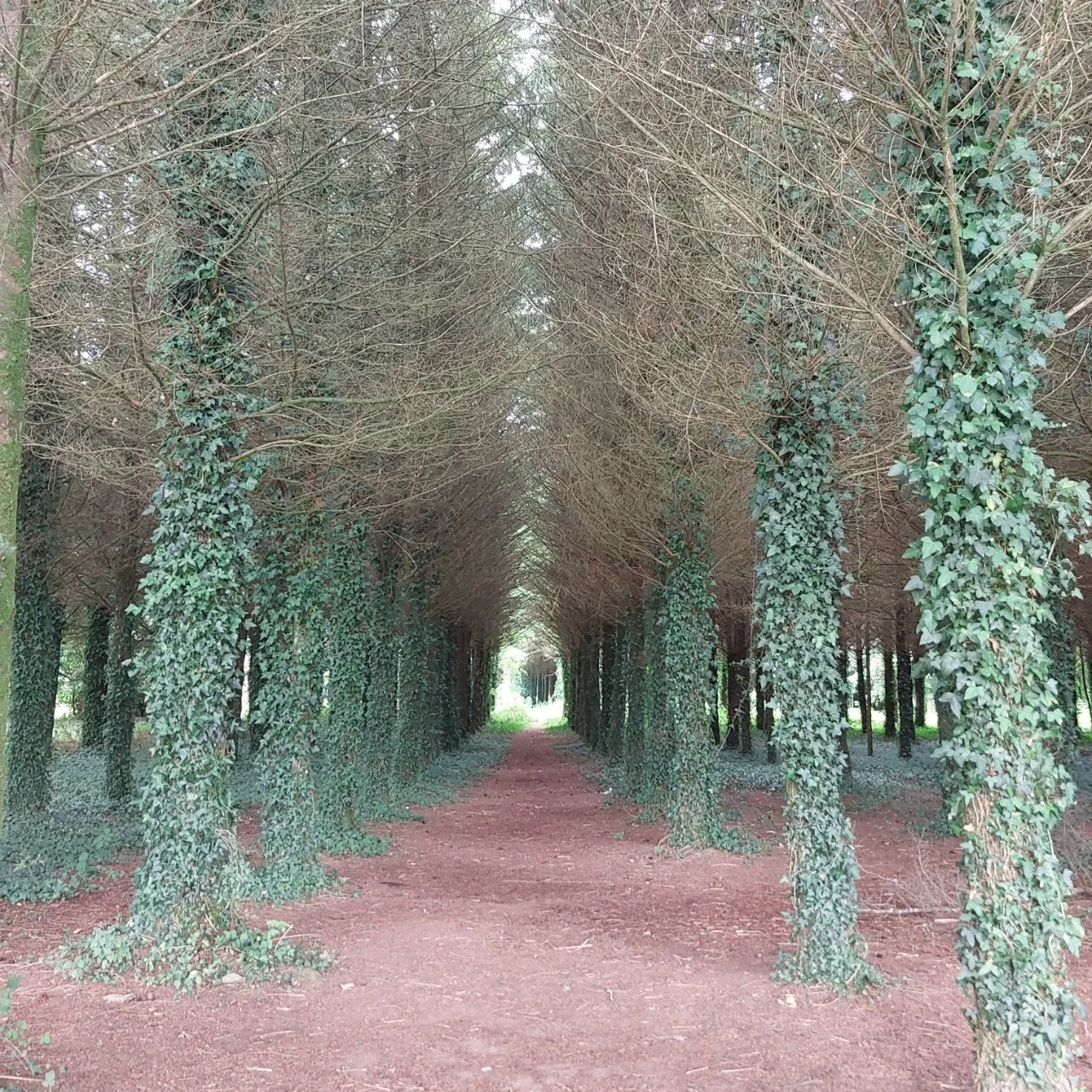 j_5d3Ud018svc194q7hvjun6y9_bc1i52.jpg?type=e1920_std