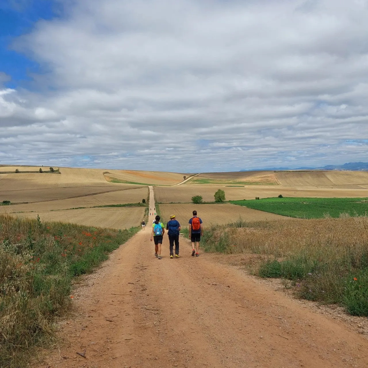 f_g3cUd018svc8x5hrgzn0y0v_bc1i52.jpg?type=e1920_std