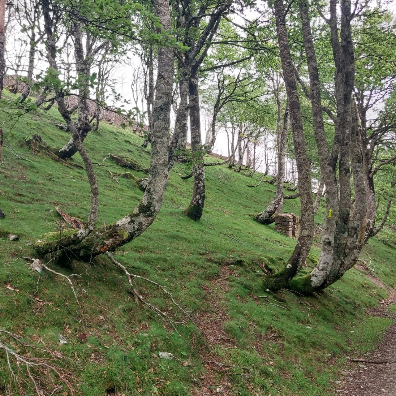 1_bbgUd018svc1e0jr33s0puek_bc1i52.jpg?type=e1920_std