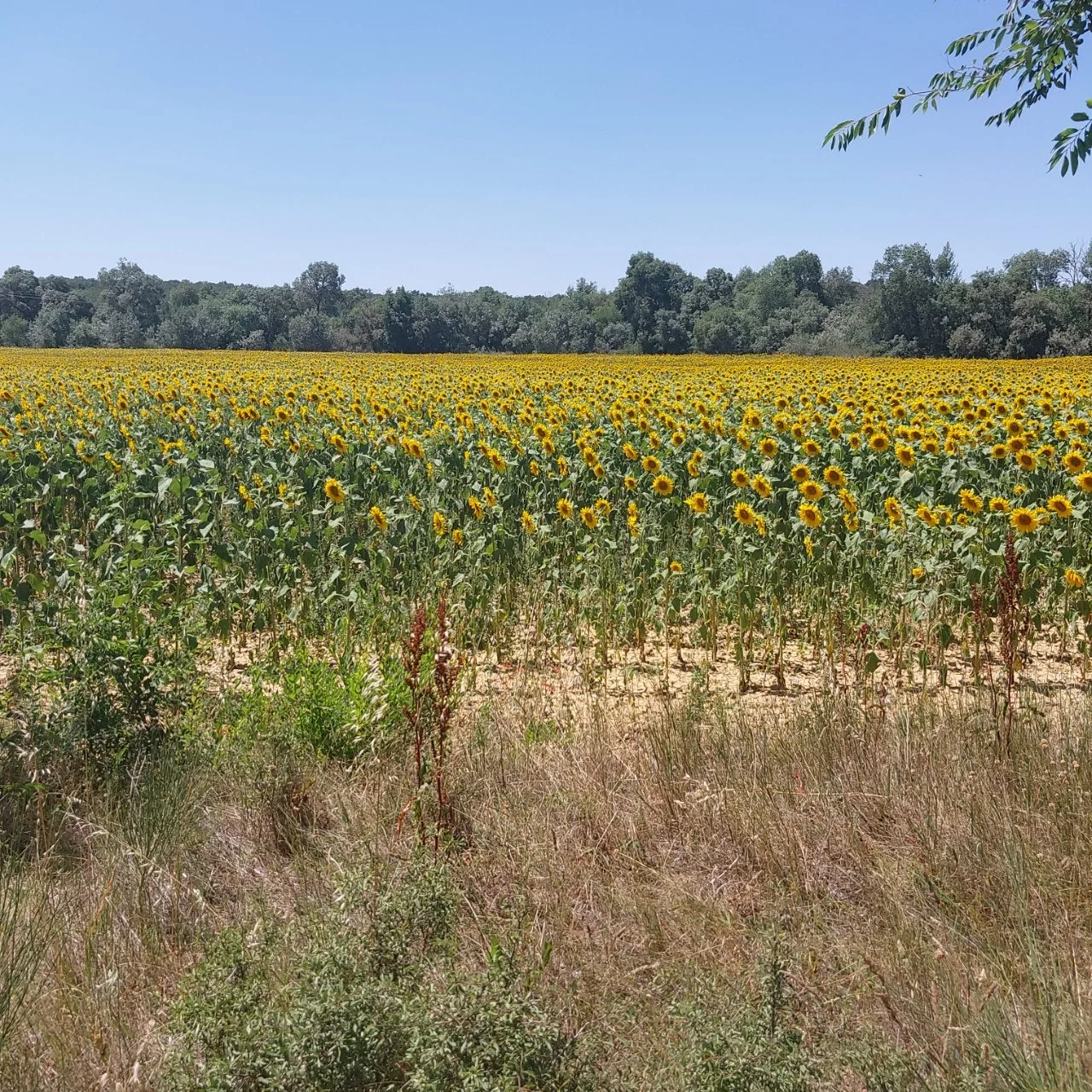 9_hb4Ud018svc1ts9fs8e5todk_bc1i52.jpg?type=e1920_std