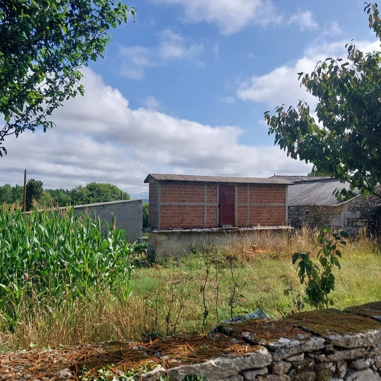 0_06cUd018svc1l75k1d8bbgup_bc1i52.jpg?type=e1920_std