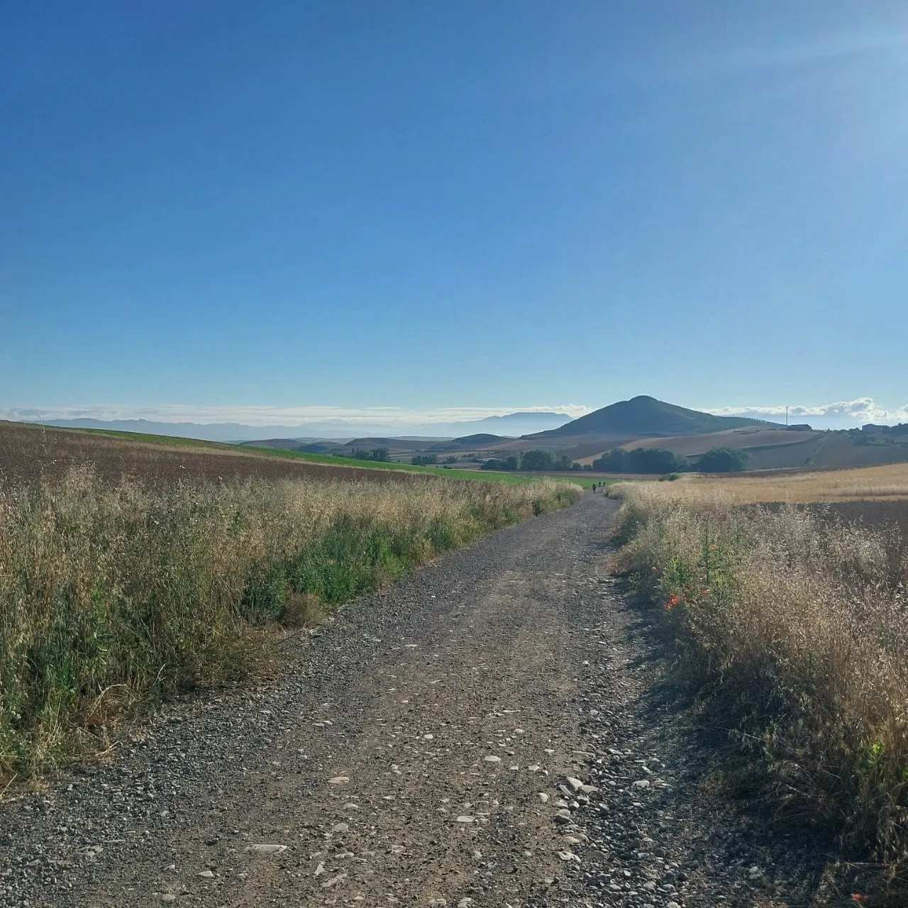 8_73iUd018svc3fha0qslyh0y_bc1i52.jpg?type=e1920_std