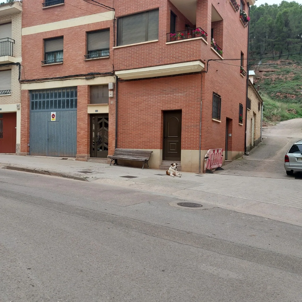 g_c3cUd018svc1pj7jp73apuin_bc1i52.jpg?type=e1920_std