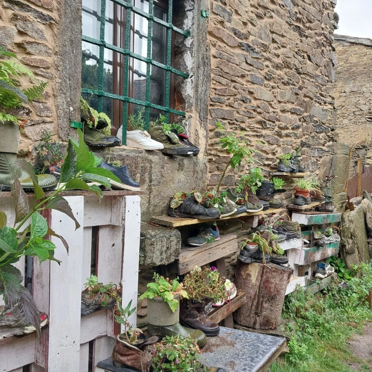 j_jd3Ud018svciuqggre0z7og_bc1i52.jpg?type=e1920_std