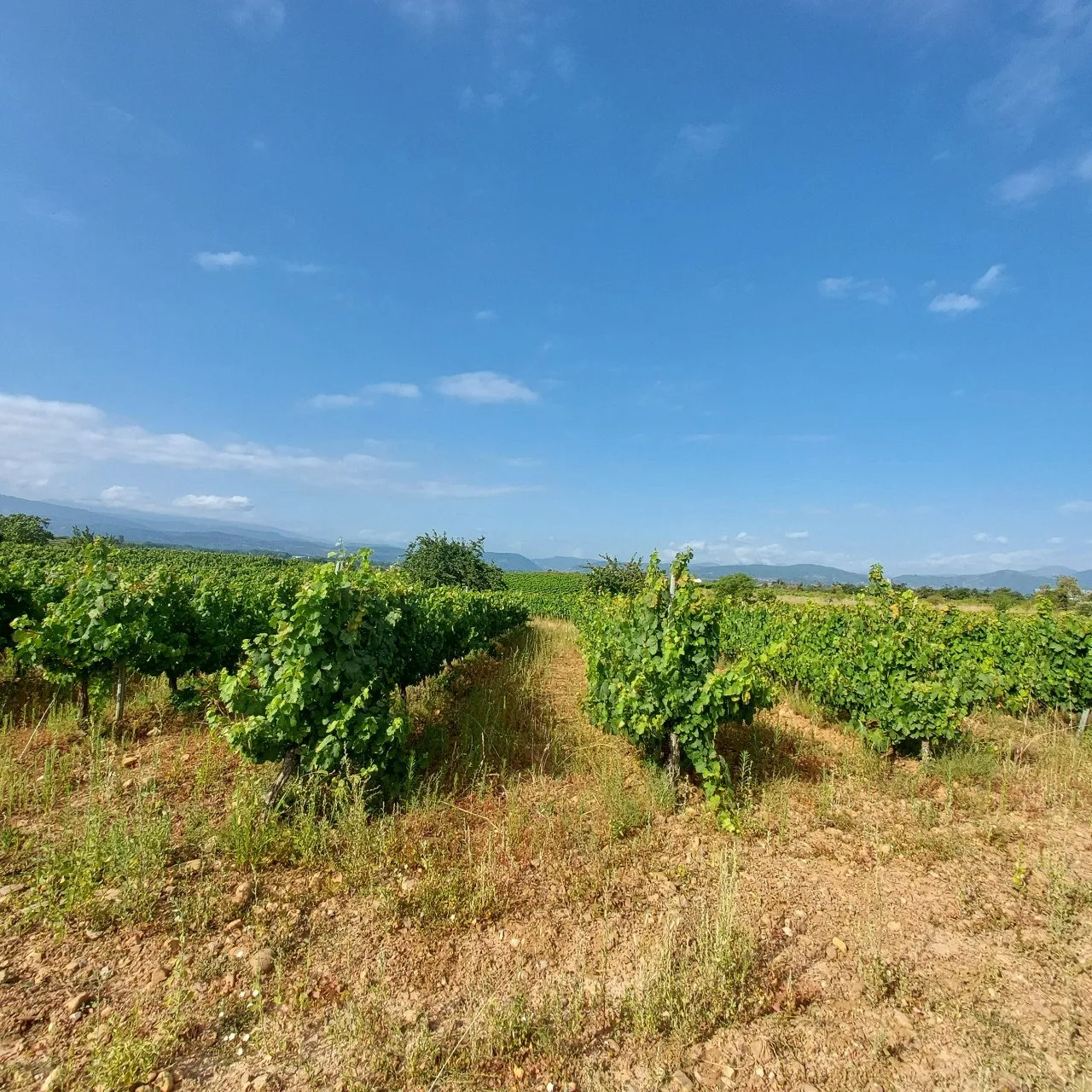 4_eh5Ud018svc19rywhpgu7hpt_bc1i52.jpg?type=e1920_std