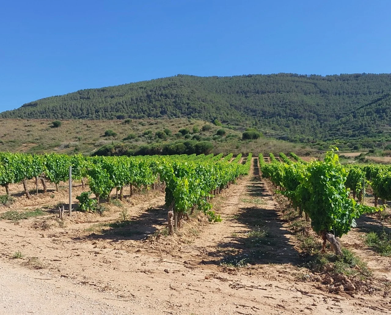 4_g5eUd018svcnv5onpso7lda_bc1i52.jpg?type=e1920_std