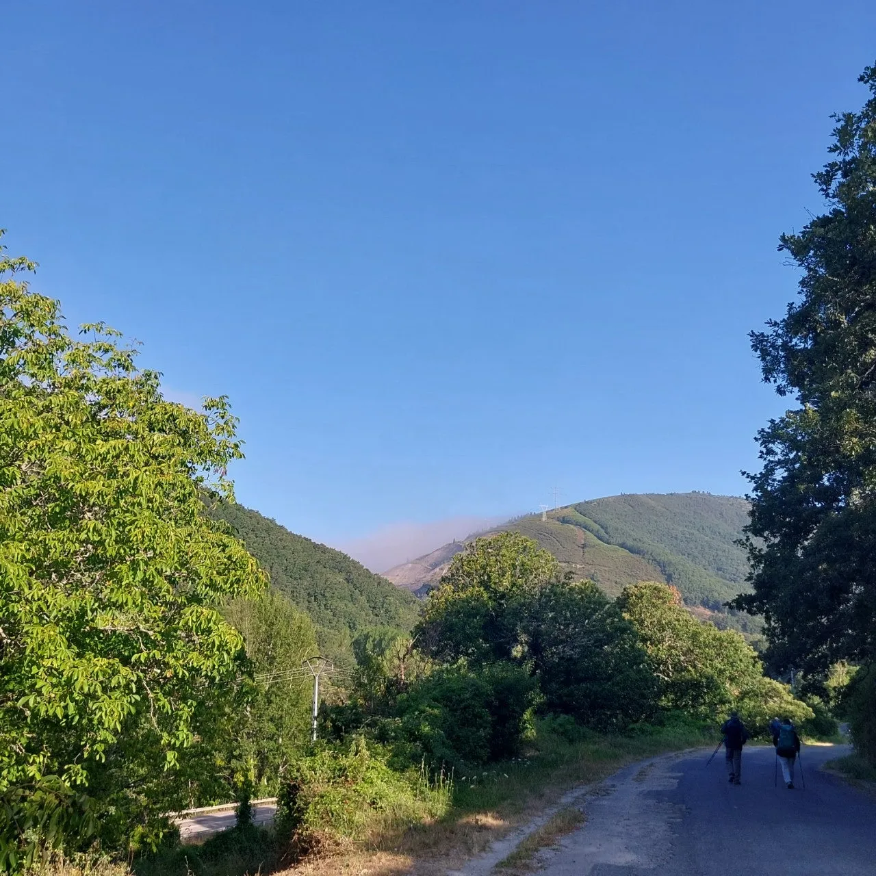 d_h13Ud018svc92dzld8hy9rg_bc1i52.jpg?type=e1920_std