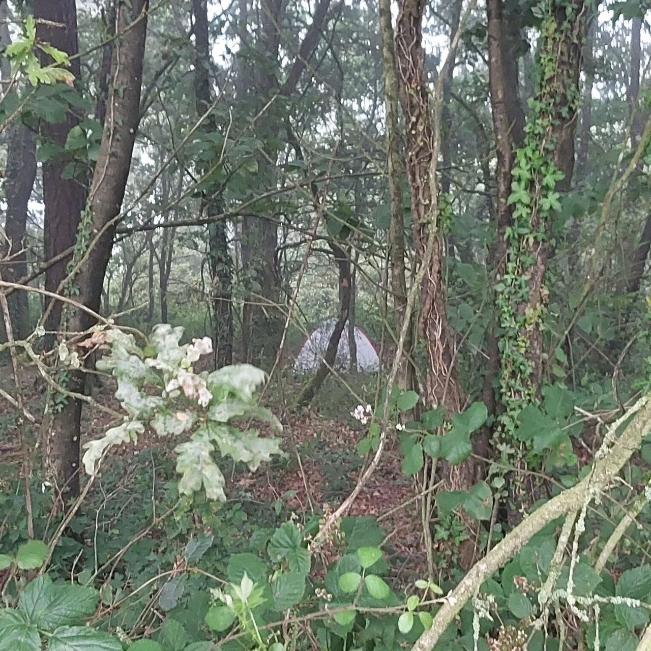 5_ehdUd018svc19l2myxwaodcp_bc1i52.jpg?type=e1920_std