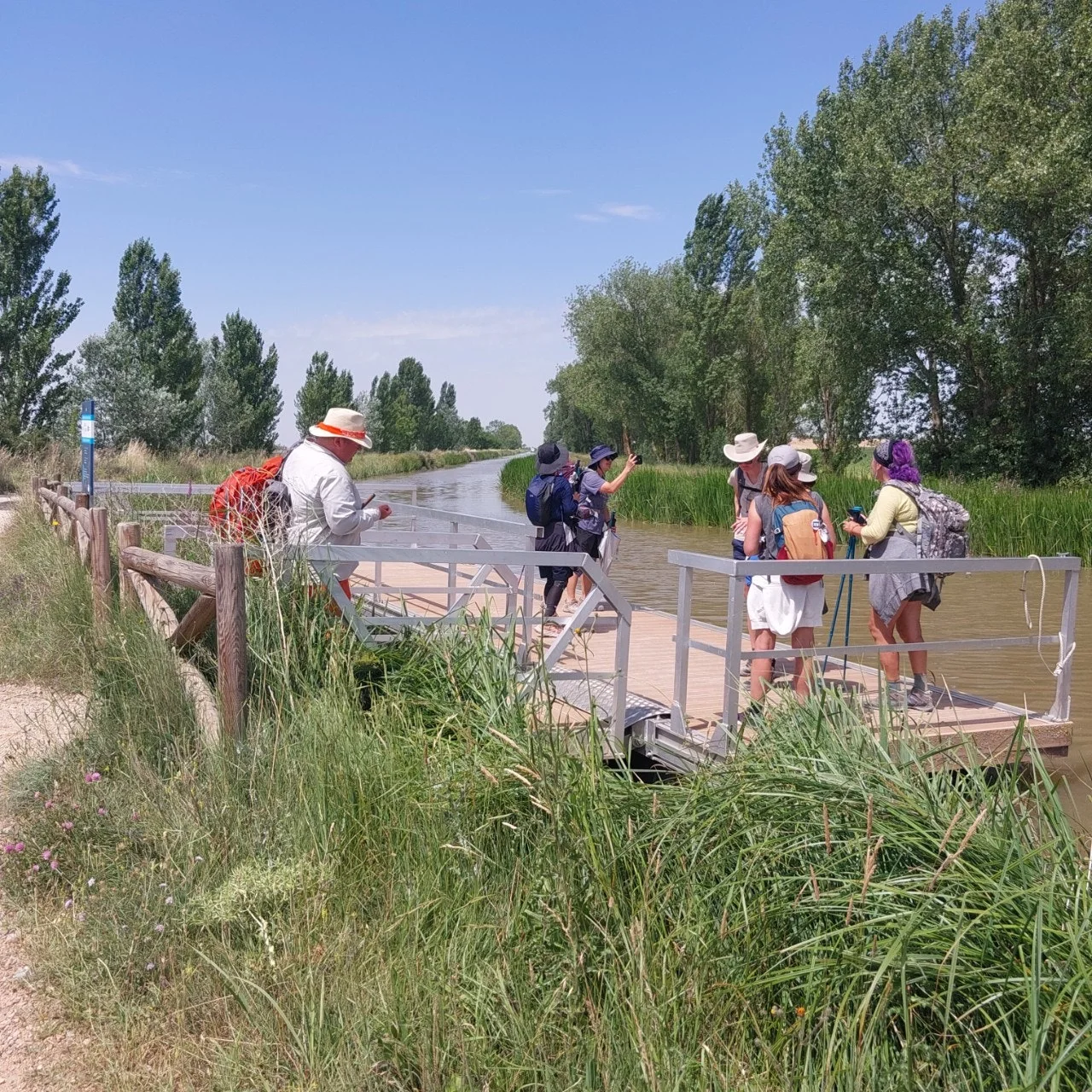 8_cgbUd018svc1qpa3cc4pmugg_bc1i52.jpg?type=e1920_std