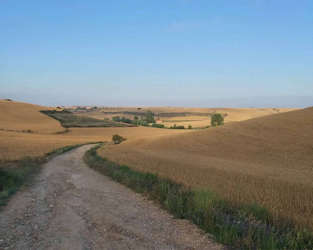 c_886Ud018svcswq6gc0f5s6s_bc1i52.jpg?type=e1920_std