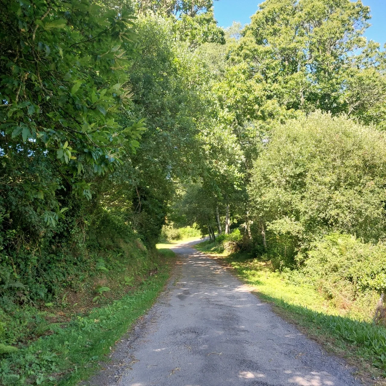 9_gi6Ud018svc128iy9rx9hlmr_bc1i52.jpg?type=e1920_std