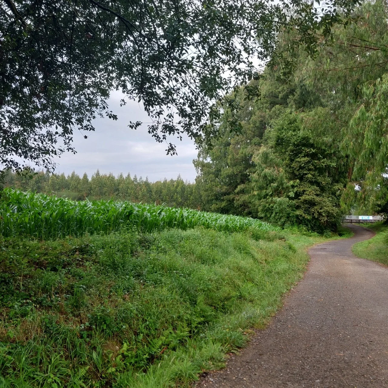 j_dd3Ud018svc1r1v5vd8dunnr_bc1i52.jpg?type=e1920_std