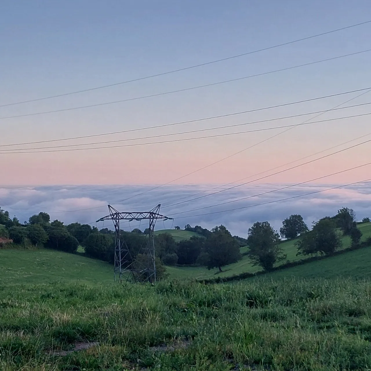 9_hi6Ud018svcyfklr6fb1h9c_bc1i52.jpg?type=e1920_std