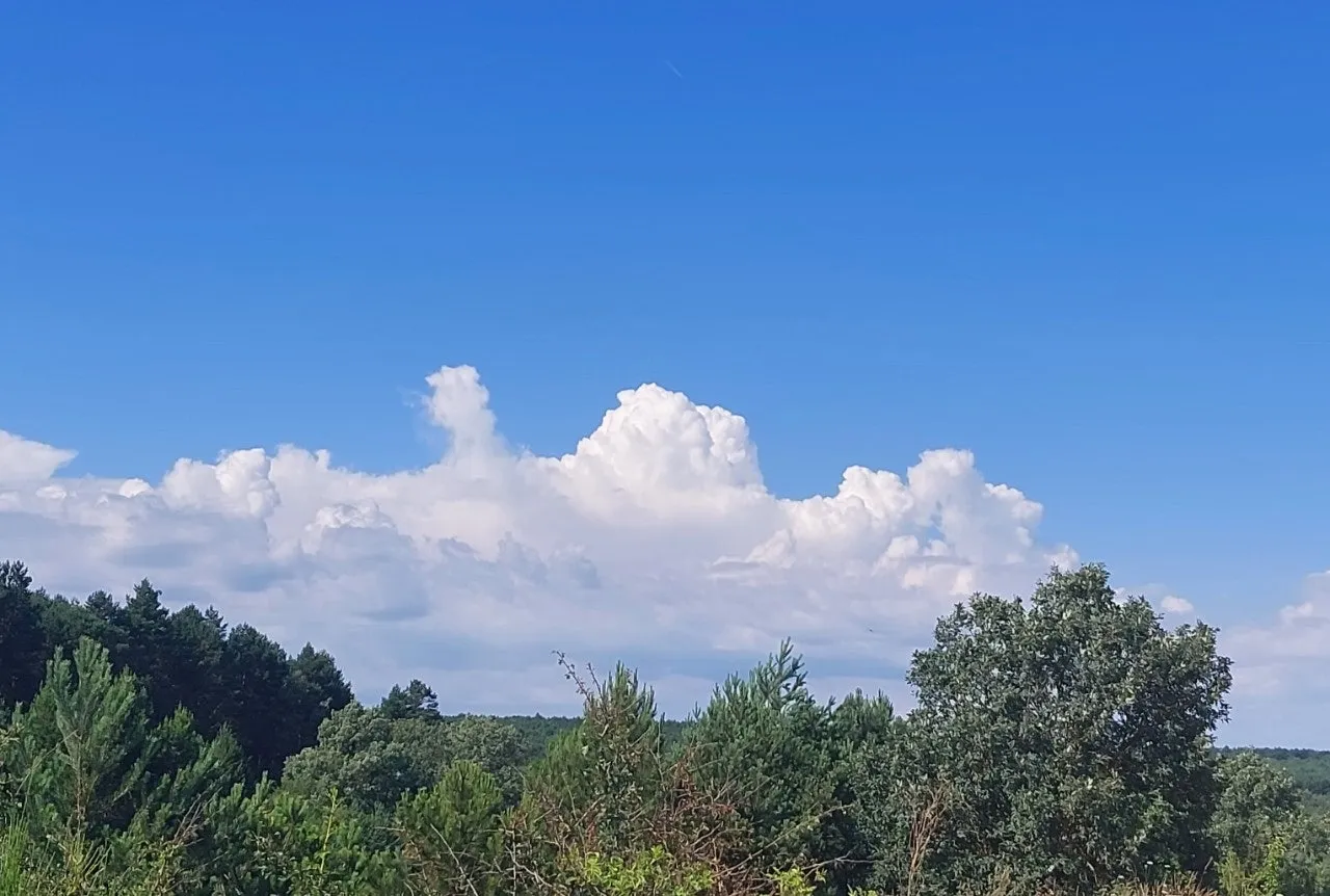 7_a94Ud018svc13jii7qby428s_bc1i52.jpg?type=e1920_std