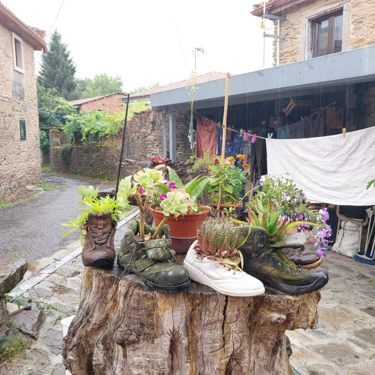 j_6d3Ud018svcctw0rfycpv1_bc1i52.jpg?type=e1920_std