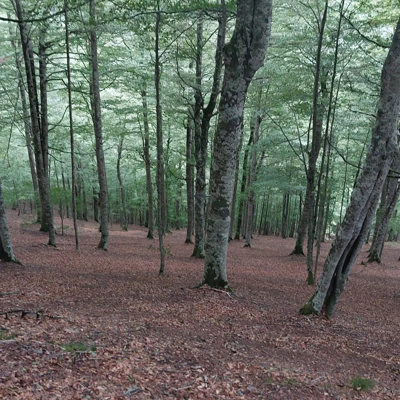 2_gbgUd018svc1lgpg43k5ihpm_bc1i52.jpg?type=e1920_std