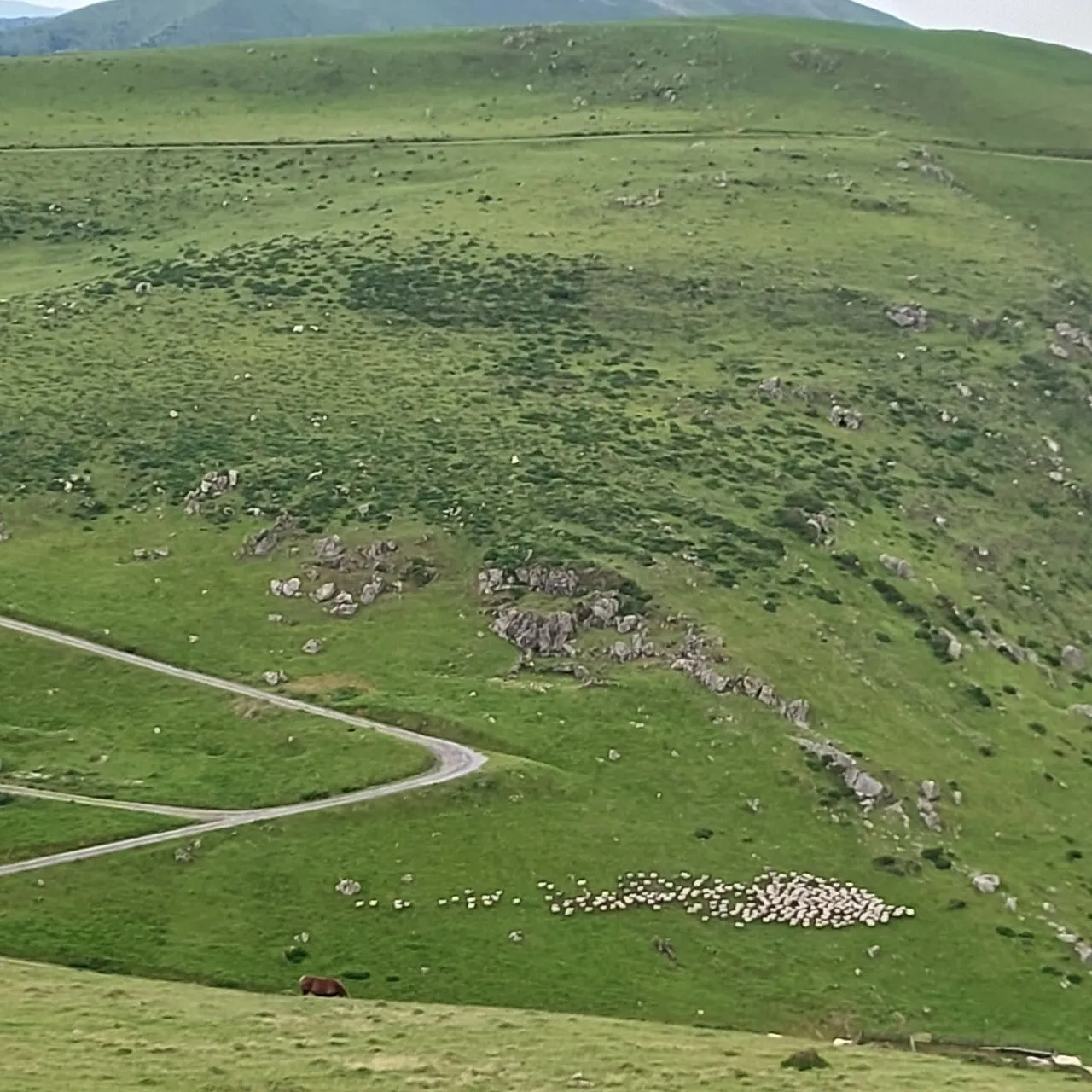 5_2bgUd018svc1em1xdhnvxx8h_bc1i52.jpg?type=e1920_std