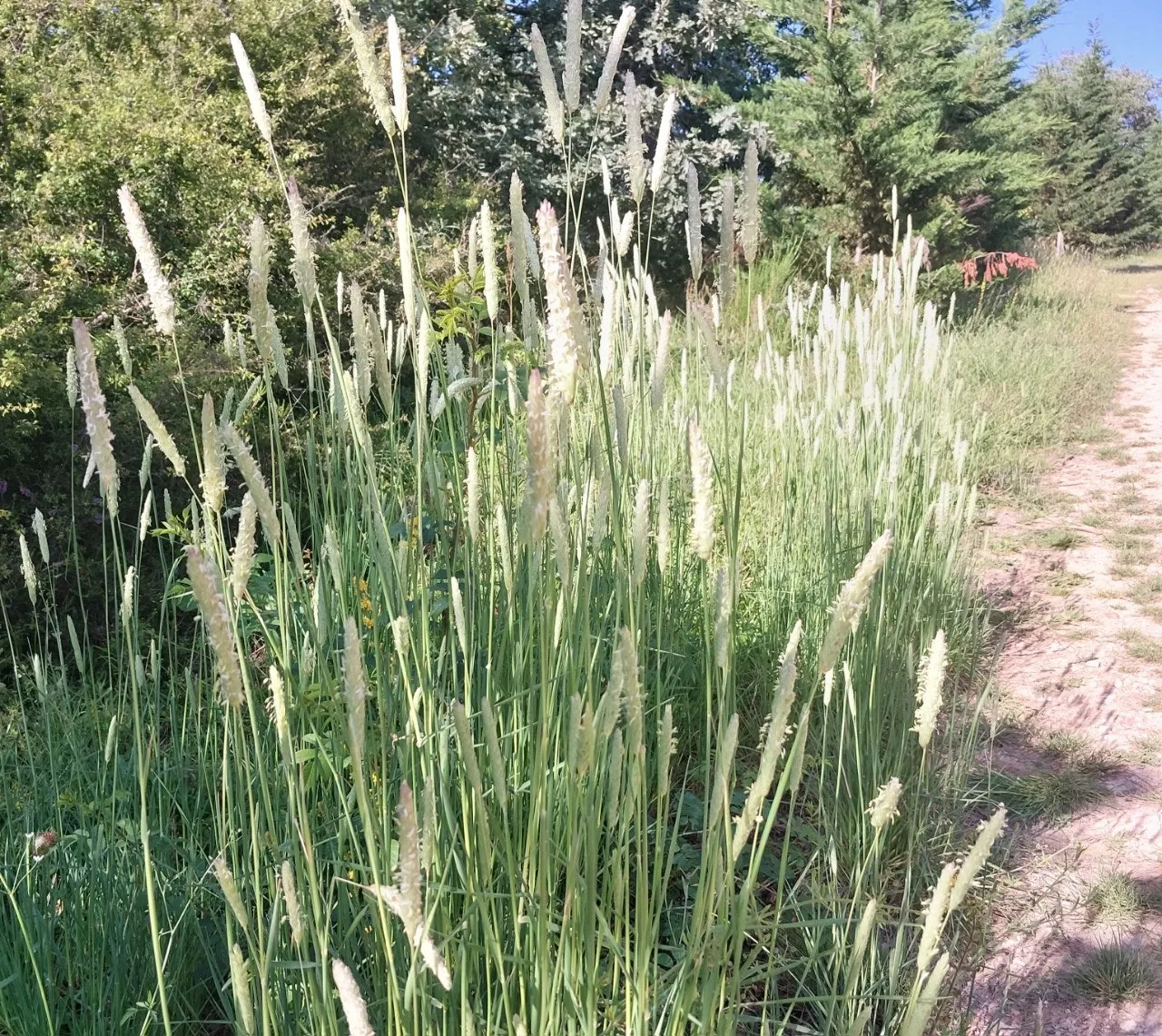 6_d94Ud018svc1fz0nav2y3nf5_bc1i52.jpg?type=e1920_std