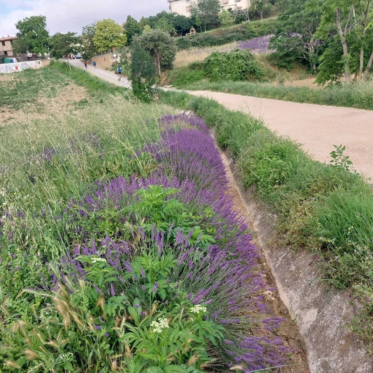 7_ee1Ud018svc823eoiq6ii7q_bc1i52.jpg?type=e1920_std