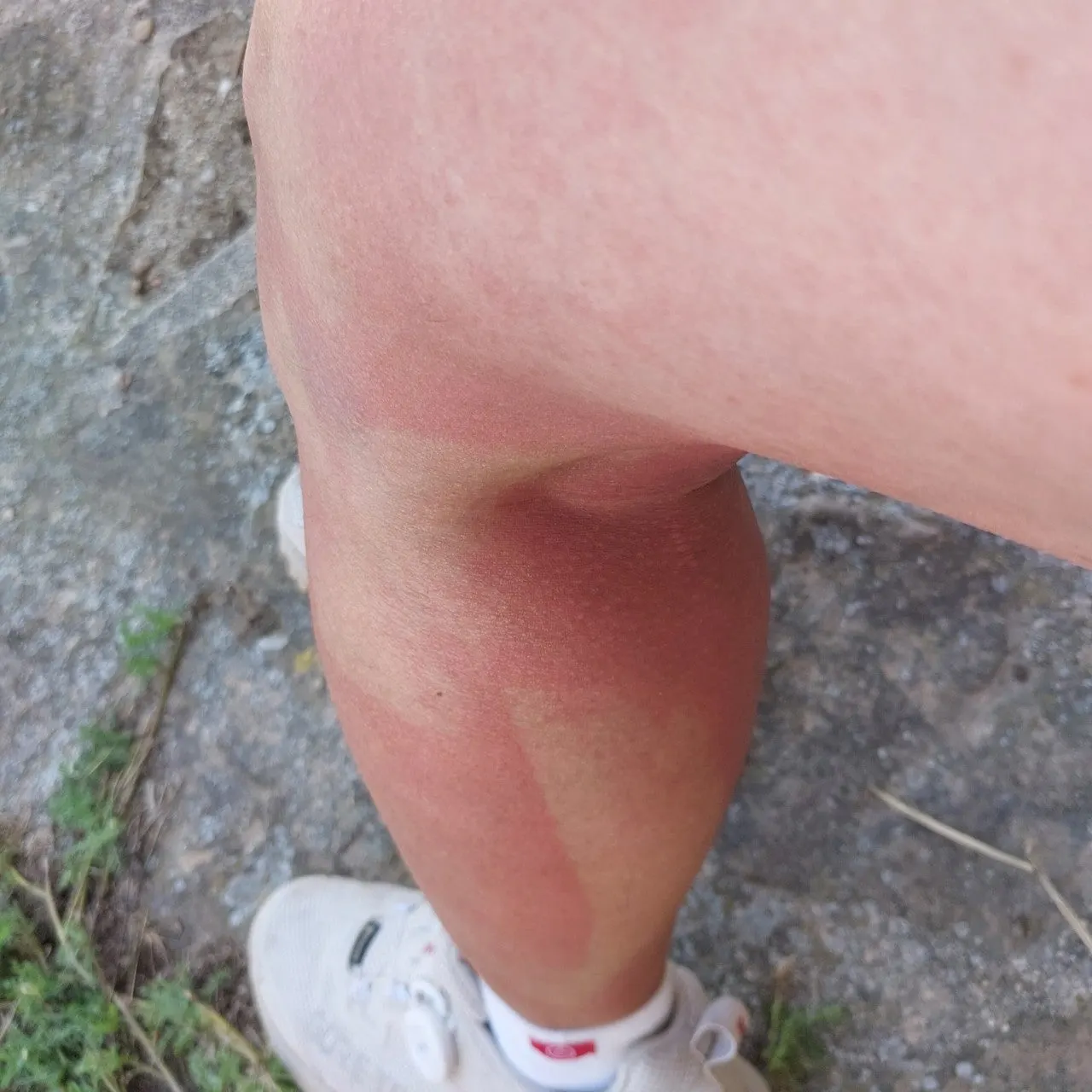 9_4j6Ud018svc1ngkv150os5eh_bc1i52.jpg?type=e1920_std