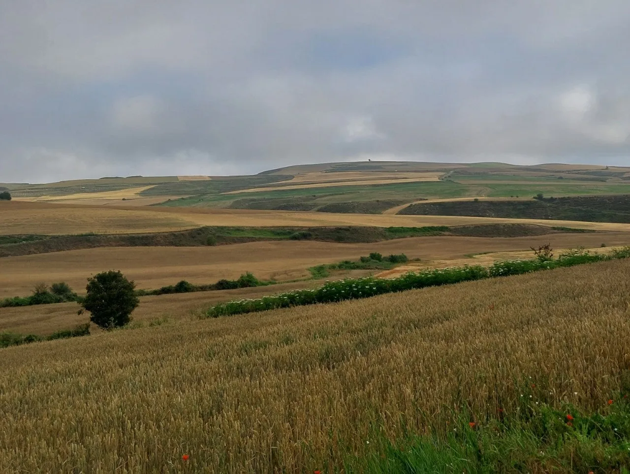 a_694Ud018svc1i8gixnhpgulx_bc1i52.jpg?type=e1920_std