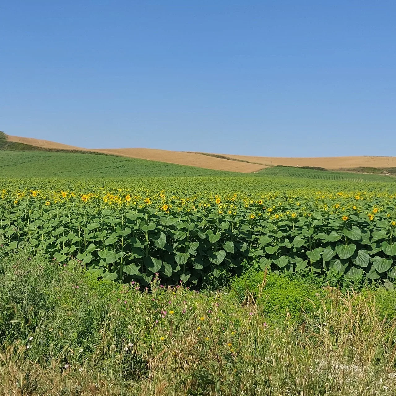 1_2j6Ud018svcul5akv302n1d_bc1i52.jpg?type=e1920_std