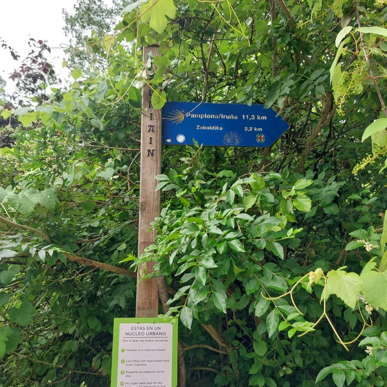 d_54gUd018svc1w3l2zwe58pv_bc1i52.jpg?type=e1920_std