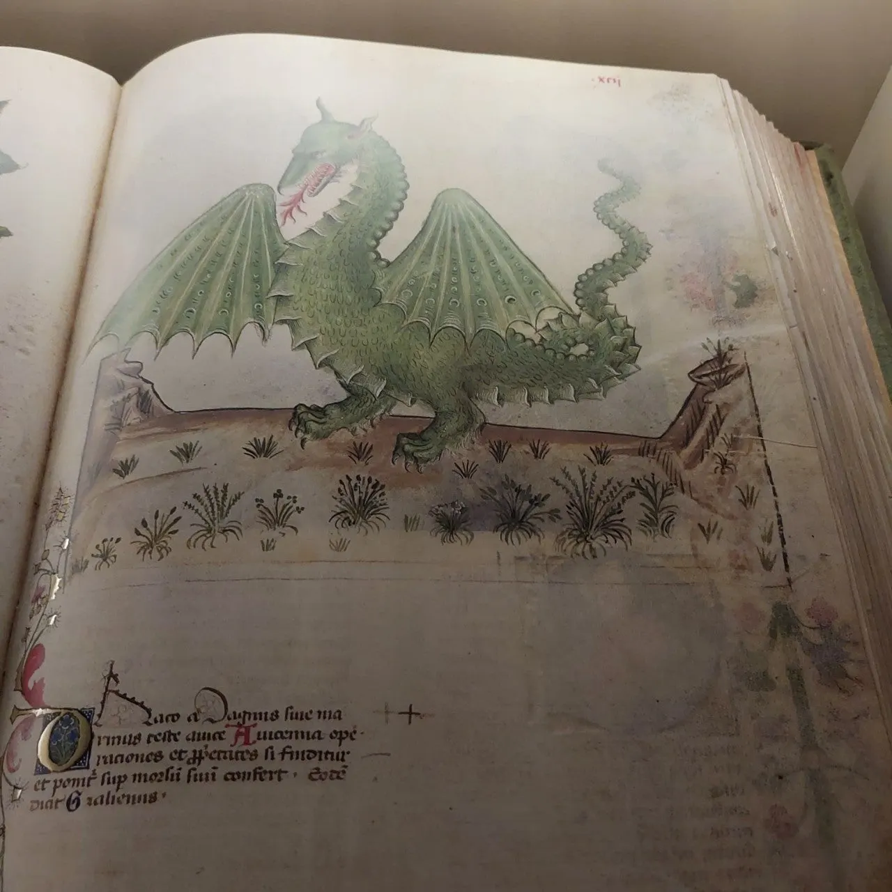 9_3abUd018svc7czned6h18gq_bc1i52.jpg?type=e1920_std