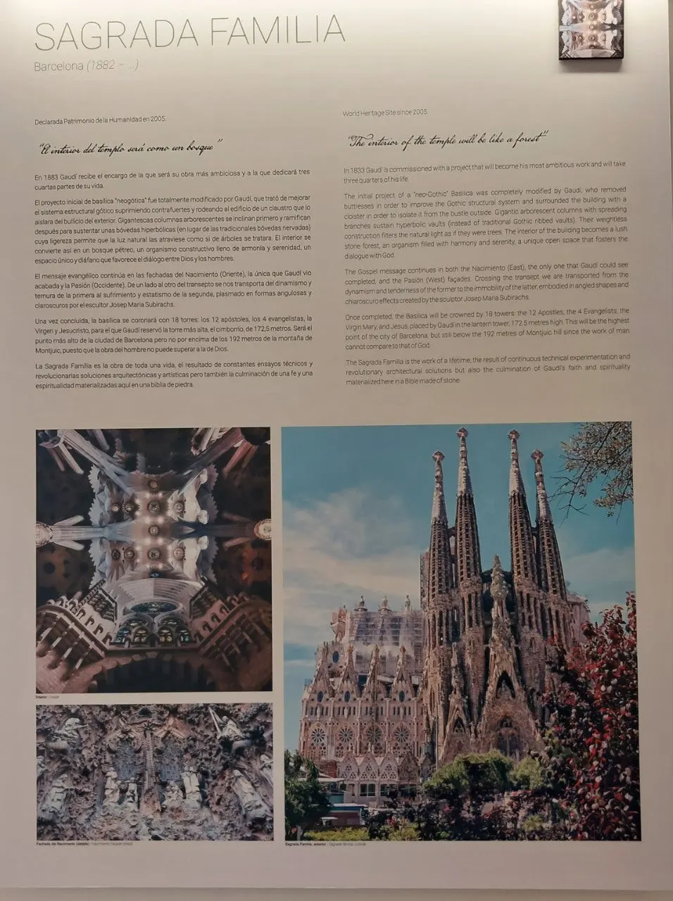 i_435Ud018svc19dv9hdogf4lv_bc1i52.jpg?type=e1920_std