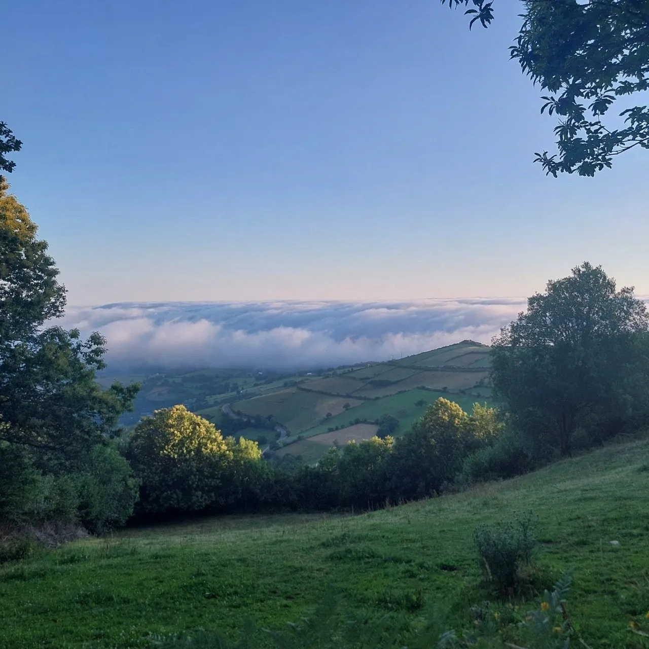 9_ii6Ud018svcy3wwlmuxs9t2_bc1i52.jpg?type=e1920_std