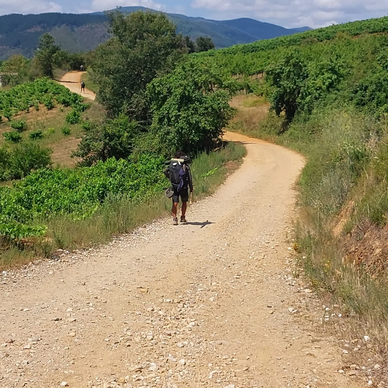 i_9h4Ud018svci54ywlmko9iy_bc1i52.jpg?type=e1920_std