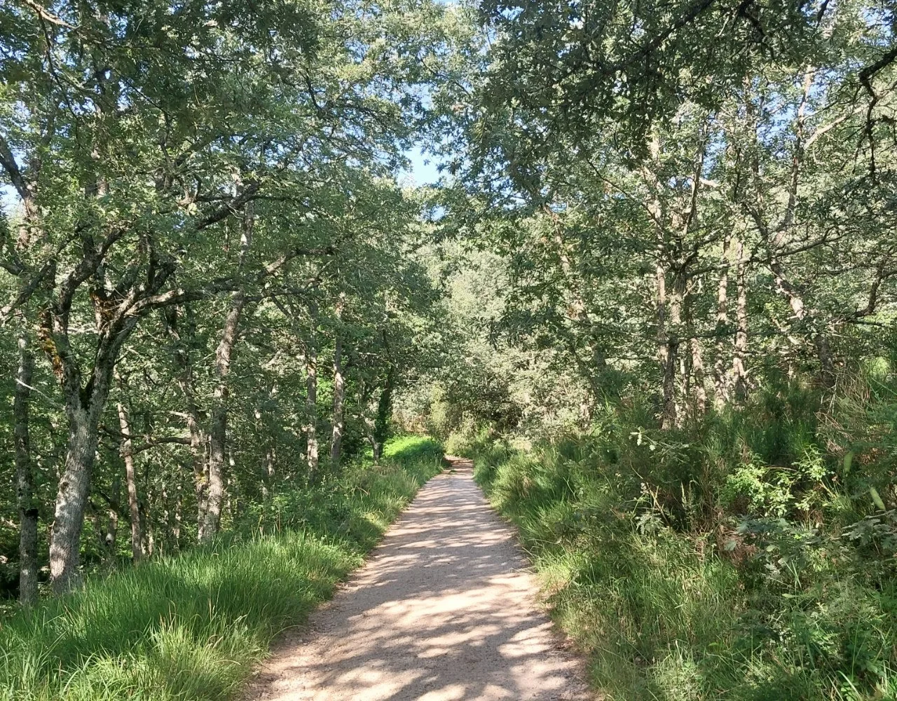 7_394Ud018svcew9e6813sd2p_bc1i52.jpg?type=e1920_std